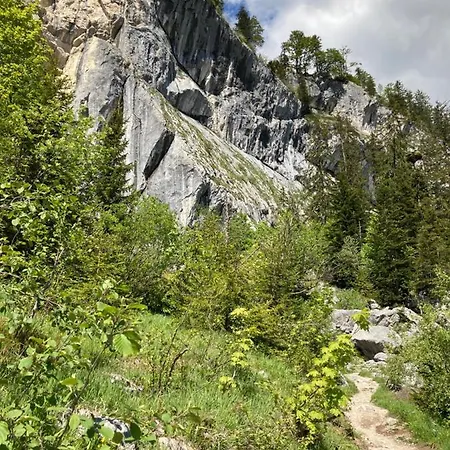 Zopf Lägenhet Bad Mitterndorf