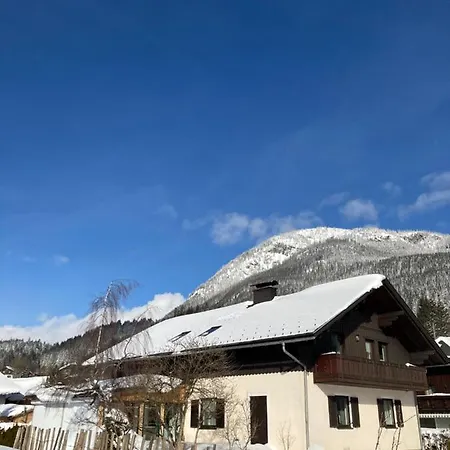 Zopf *