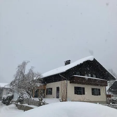 Apartment Zopf