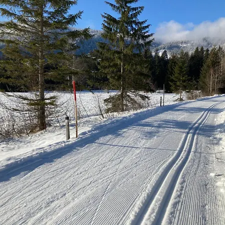Zopf Lägenhet Bad Mitterndorf