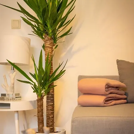 Apartment Zopf *