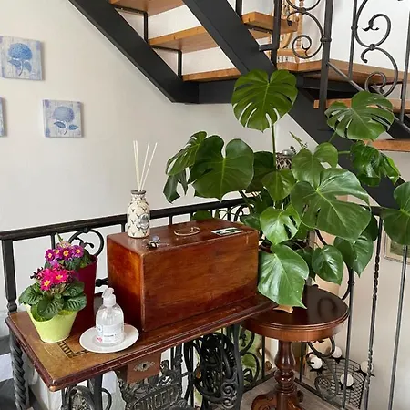 Apartment Zopf