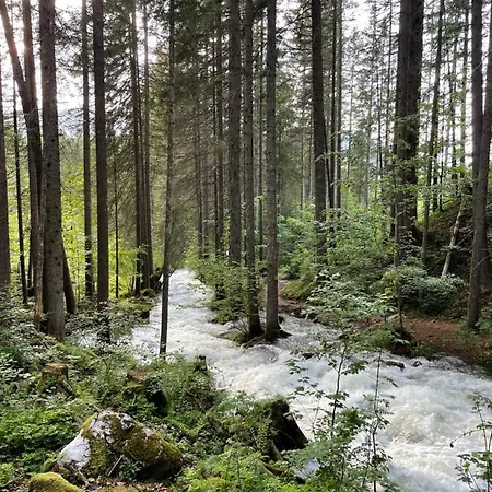 Zopf * Bad Mitterndorf