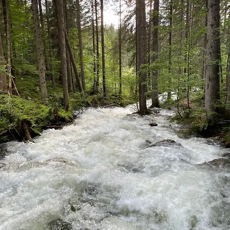 Zopf * Bad Mitterndorf