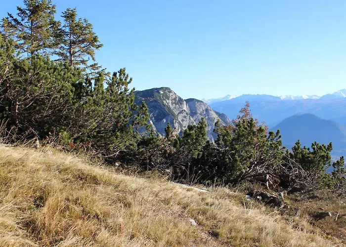 Zopf דירה באד מיטרנדורף