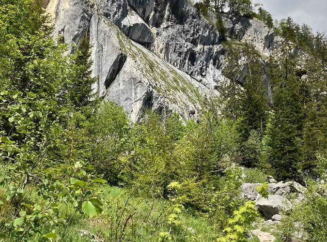 Zopf דירה באד מיטרנדורף