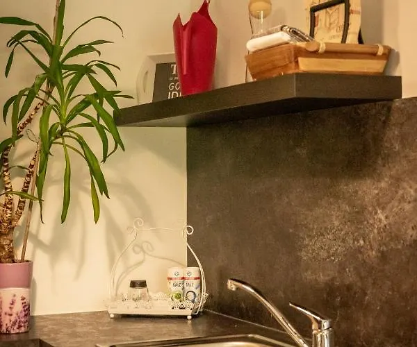 Zopf באד מיטרנדורף