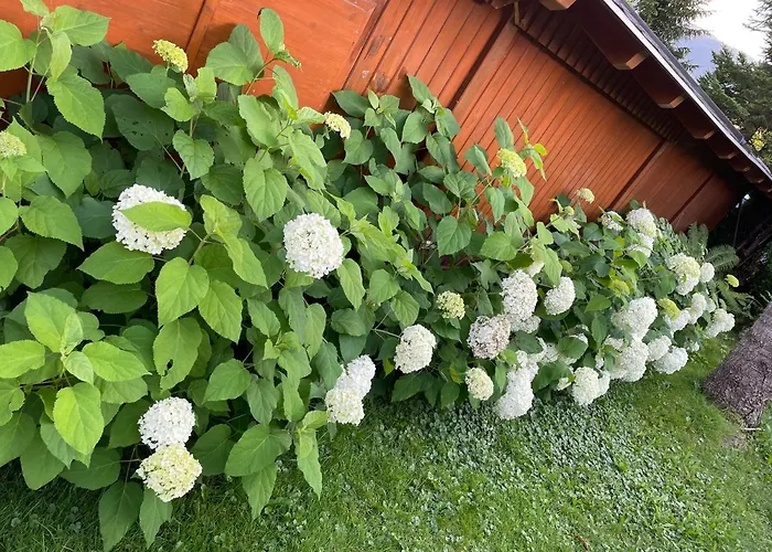 Zopf באד מיטרנדורף