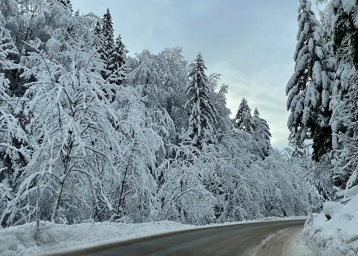 Zopf * באד מיטרנדורף