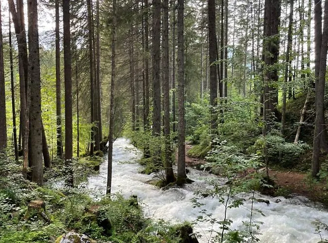 Zopf * באד מיטרנדורף