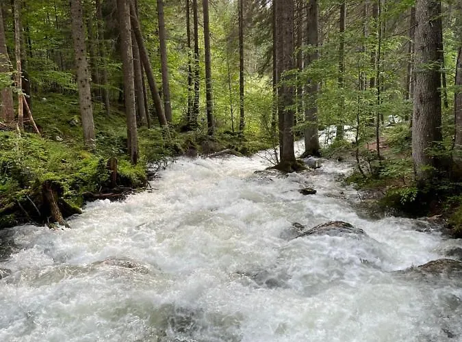 Zopf * באד מיטרנדורף